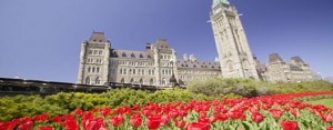 Parliament hill