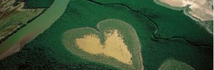 earth-from-above