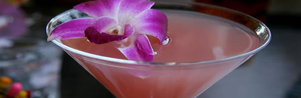 Exotic Cocktail Recipes - Mai Tai Exotic Cocktail Recipes - Mai Tai