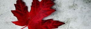 maple- leaf