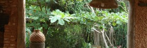 Eco Friendly Hotel