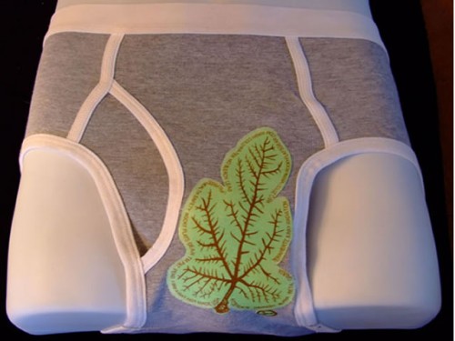 Radiation Blocker Men's Brief Airport Security Scanner: Radiation Blocker Men's Brief