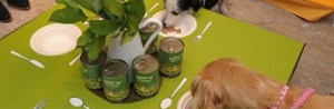 ht_dogshavingsomelilysdinner_101111_mn