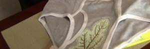 tsa_underwear