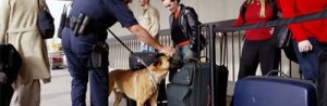 031225_airport_security_hmed6a.hmedium 031225_airport_security_hmed6a.hmedium