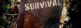 survivalbook-285x300