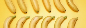 Bananas-3-FT6D9NZBMB-800x600