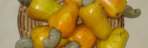 DSC00196