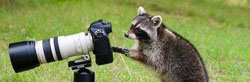 Holiday Photography Tips
