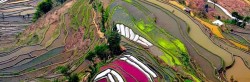 amazing places Rice Field Terrace