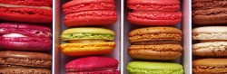 Paris Bakery Macaroons