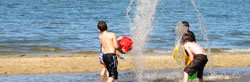 Best Family Vacation Spots In USA