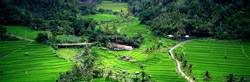 Travel Bali